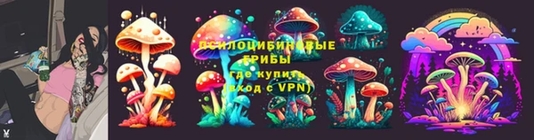 кокс Михайлов