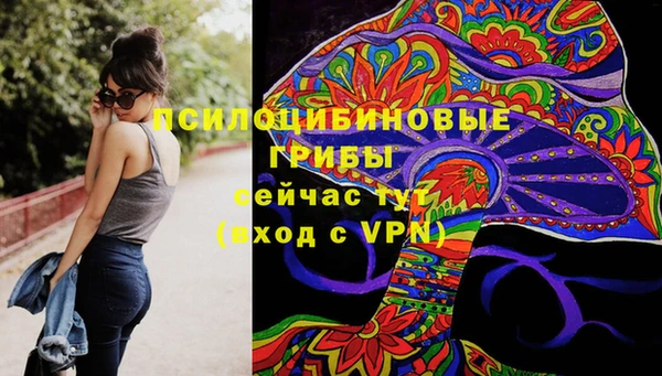прущий лед Михайловка