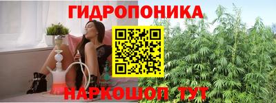 ГАЛЛЮЦИНОГЕННЫЕ ГРИБЫ Аргун