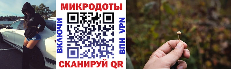 omg сайт  наркотики  Рассказово  Псилоцибиновые грибы MAGIC MUSHROOMS 