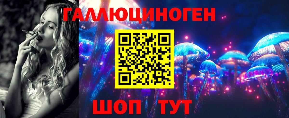 Галлюциногенные грибы Psilocybine cubensis  Галлюциногенные грибы мухоморы  Рассказово  где продают наркотики  Вход с VPN 